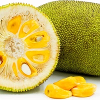 Jackfruit (कटहल) - 500g 