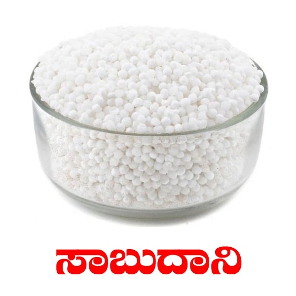 SABUDANI
