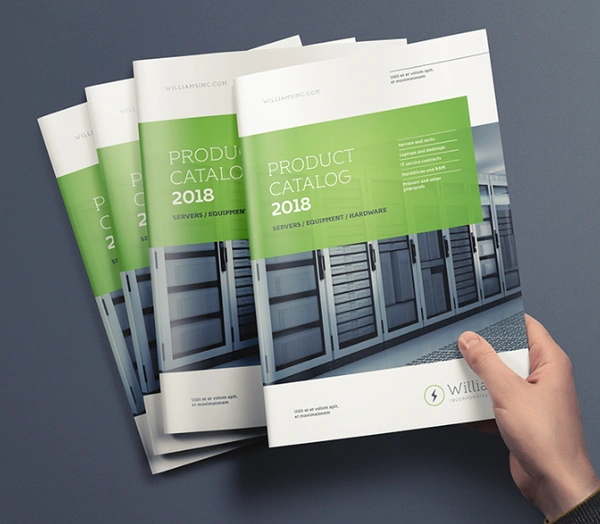 Brochure A4 - 100 GSM Art Paper, Single Side