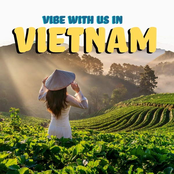 Vibe in Vietnam 