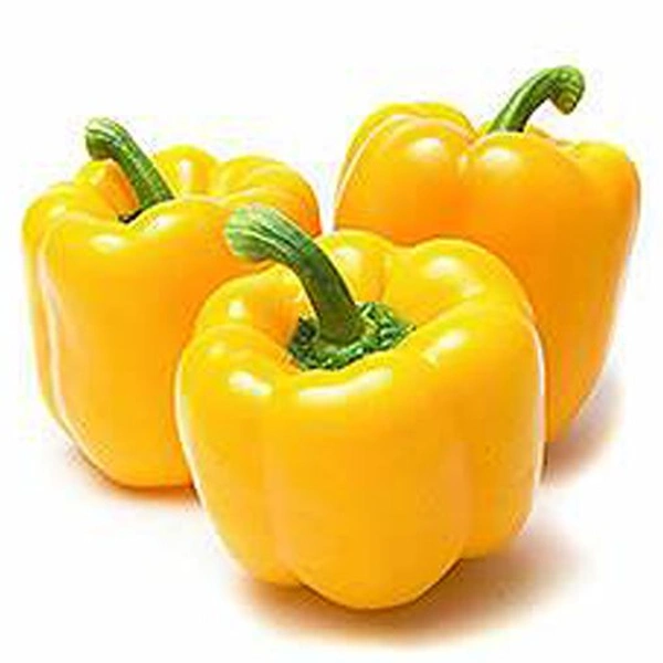 Yellow Capcicum