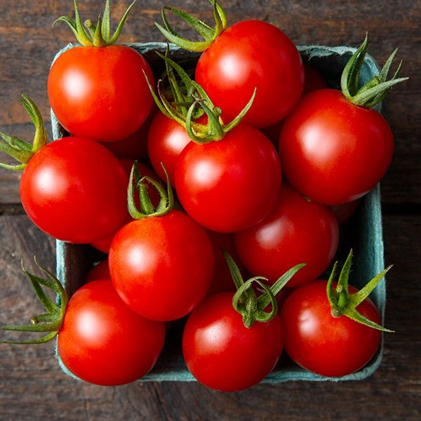 Cheery Tomato