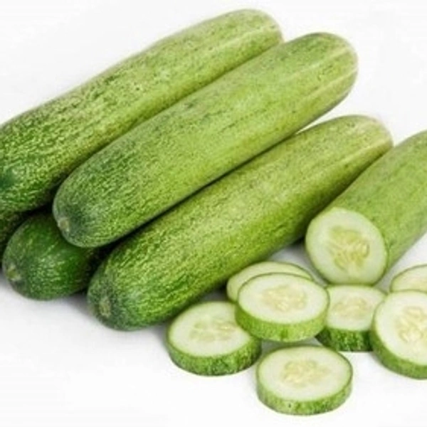 Indian Cucumber