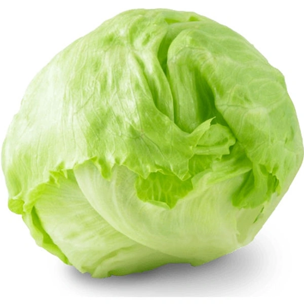 Lettuce Iceberg