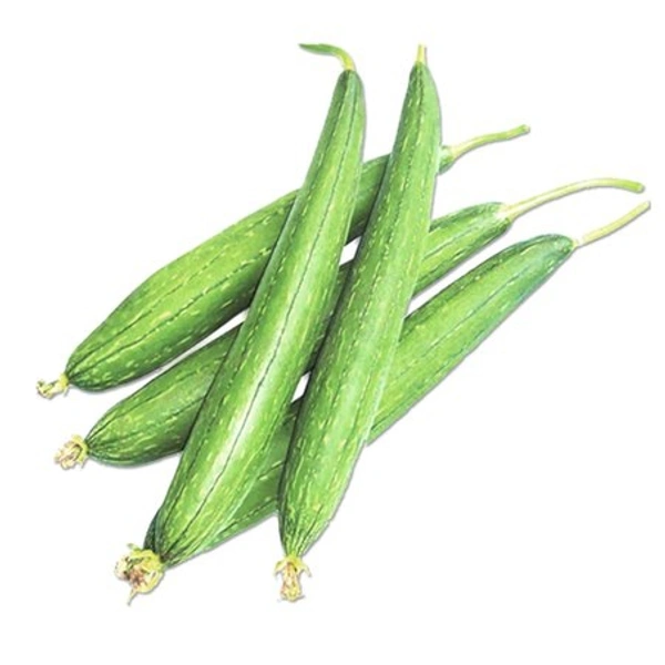 Sponge Gourd