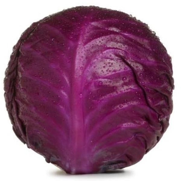 Red Cabbage