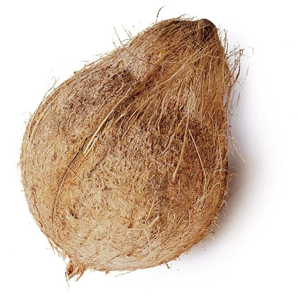 Fresh Coconut