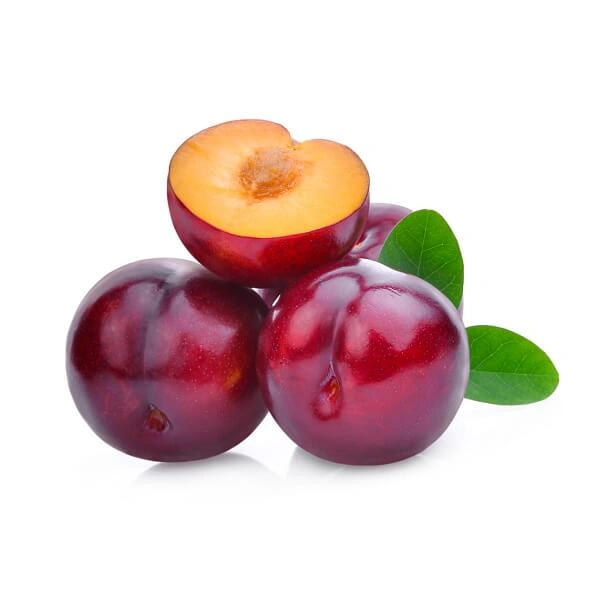 Plum Imported