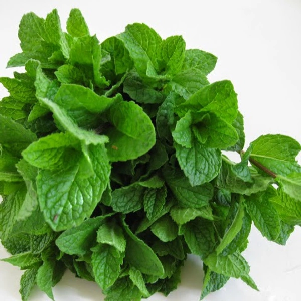 Mint Leaves