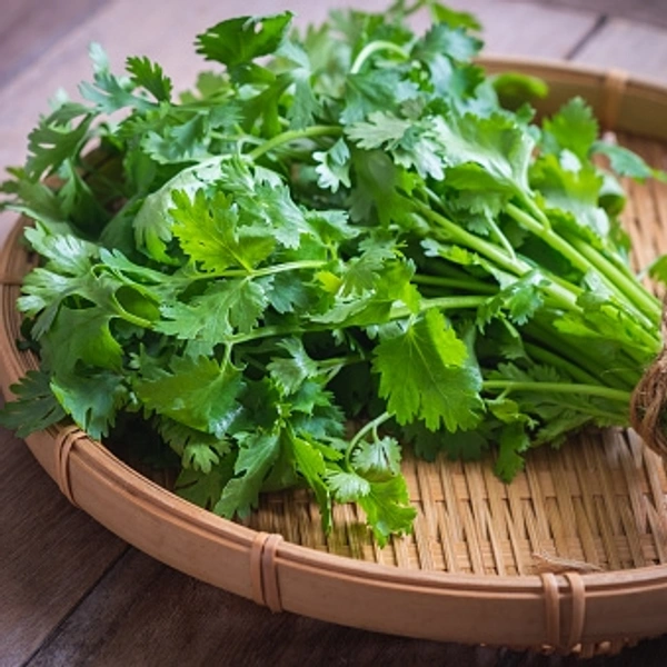 Coriander Leaves