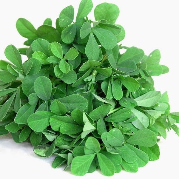Methi Leaves