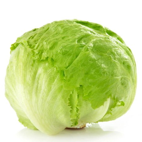 Lettuce Iceberg