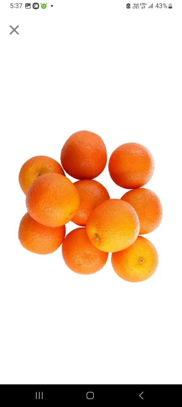 Imported Mini Oranges 