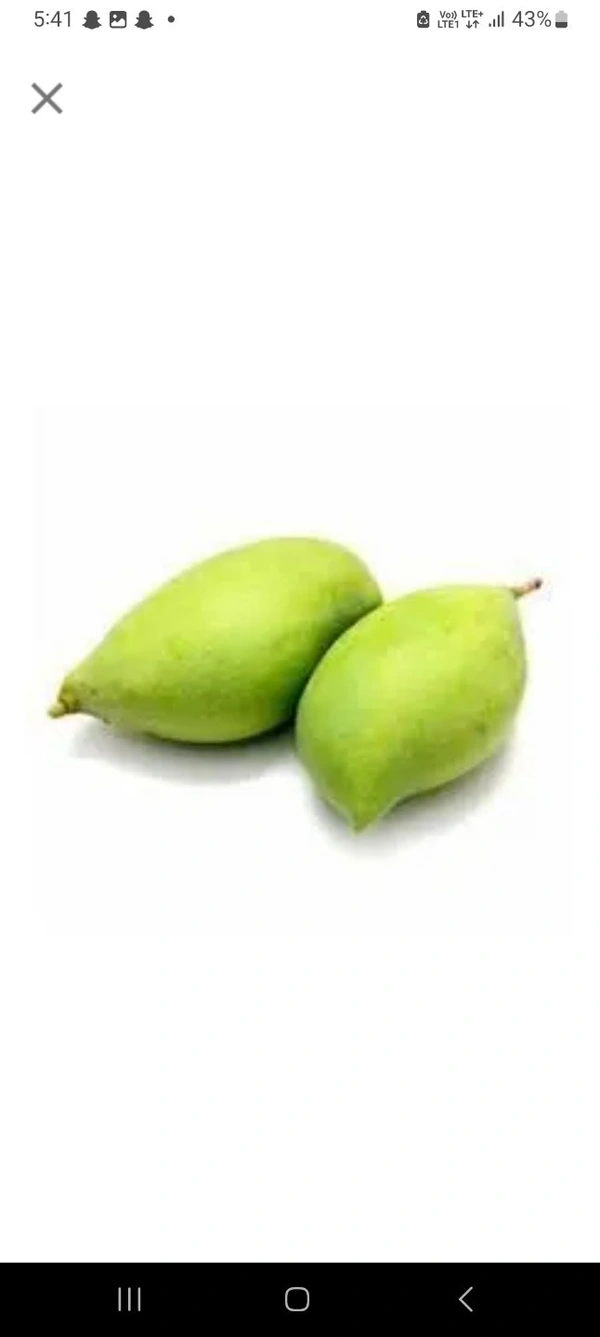 Raw Mango (Totapuri Carry)