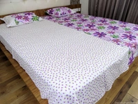 Doppelganger Homes Colorful Flower Designer Double Bed Sheet