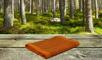 Doppelganger Homes Handloom Cotton Orange Striped floor Runner
