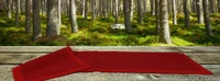 Handloom Cotton Maroon Striped floor Runner