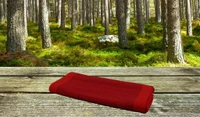 Handloom Cotton Maroon Striped floor Runner