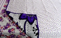 Doppelganger Homes Single Dohar-23