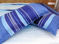 Doppelganger Homes Printed cotton Double Bed Sheet-115