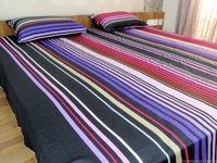 Doppelganger Homes Printed cotton Double Bed Sheet-120