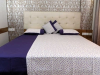 Doppelganger Homes Floral Double Bed sheet-121