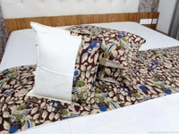 Doppelganger Homes Kalamkari Double Bed sheet  set-83