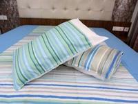 Doppelganger Homes Printed cotton Double Bed Sheet-114