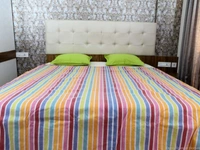 Doppelganger Homes Cotton Double bed Dohar-123