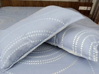 Doppelganger Homes Printed cotton Double Bed Sheet-108