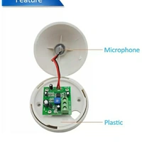AUDIO MIC FOR DVR - 1 year, NO