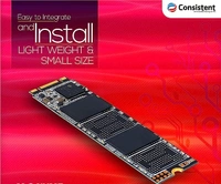 Consistent SSD SATA 256GB