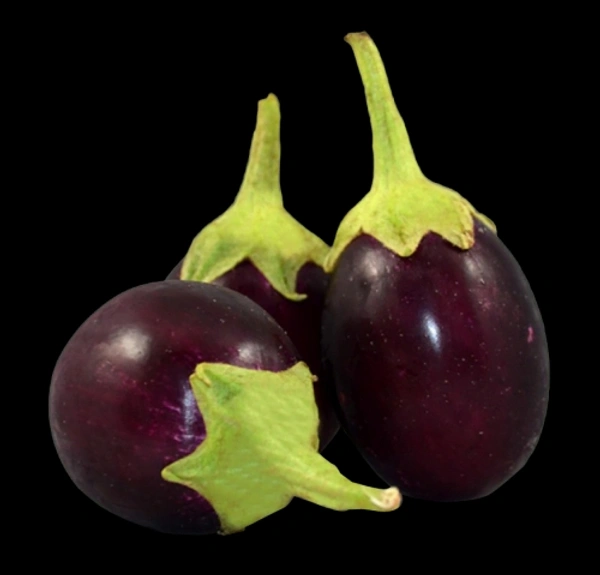 Veg Valley  Brinjal/बैंगन/Baingan  - Purple Round, 500 Gm