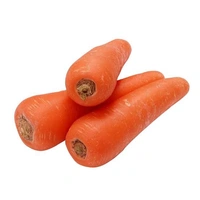 Veg Valley  Carrot/गाजर/Gajar  - 500 Gm