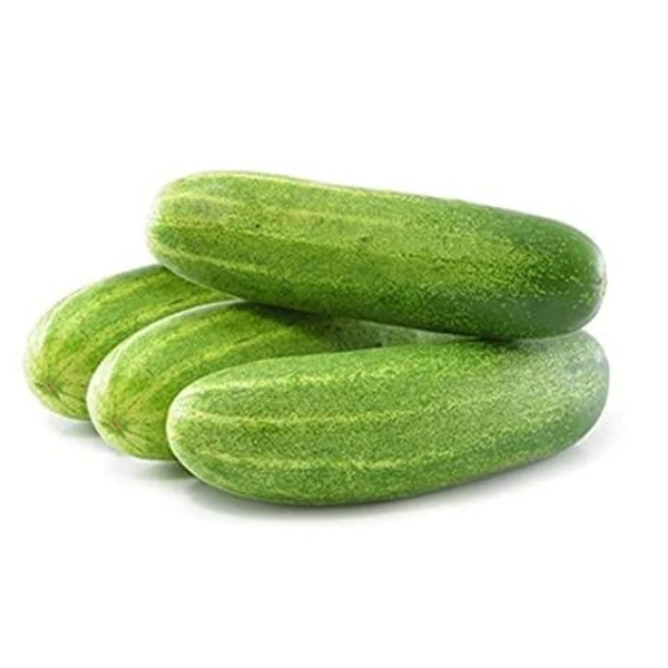 Veg Valley  Cucumber Hybrid/खीरा/Kheera  - 1 Kg
