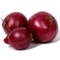 Veg Valley  Onion/प्याज/Pyaz/Pyaj - 500 Gm Small