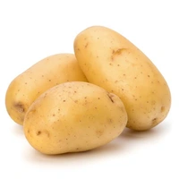Veg Valley  Potato/आलू/Aaloo/Aloo - 1 Kg Medium