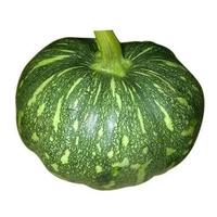 Veg Valley  Pumpkin/कद्दू/Kaddoo  - 1 Kg