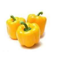 Veg Valley  Capsicum /शिमला मिर्च/Shimla Mirch  - Green, 1 Kg