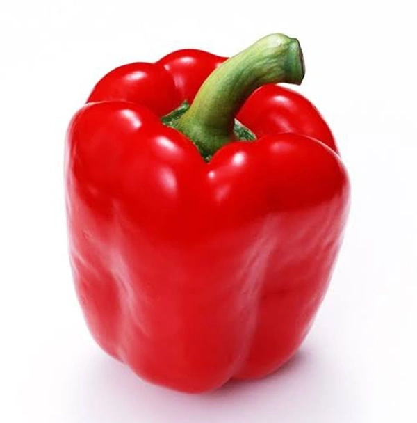 Veg Valley  Capsicum /शिमला मिर्च/Shimla Mirch  - Green, 1 Kg