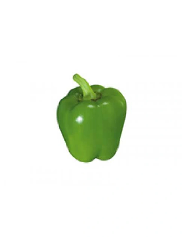 Veg Valley  Capsicum /शिमला मिर्च/Shimla Mirch  - Green, 1 Kg