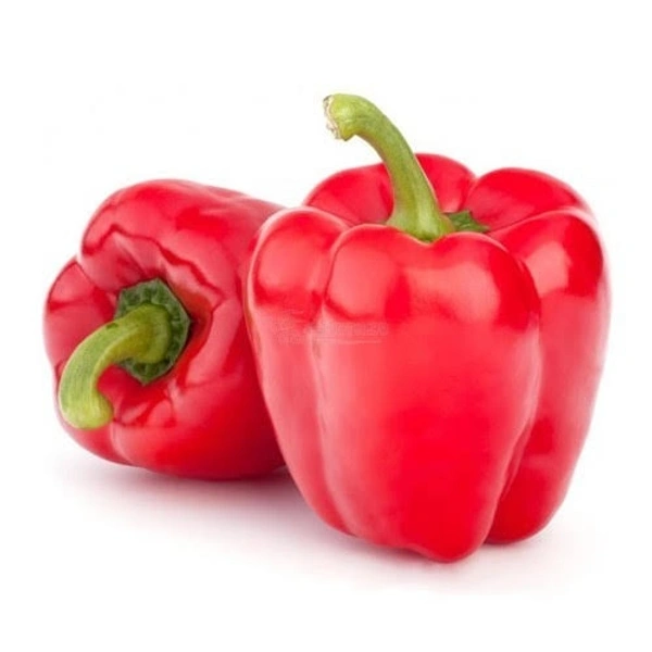 Veg Valley  Capsicum /शिमला मिर्च/Shimla Mirch  - Green, 1 Kg