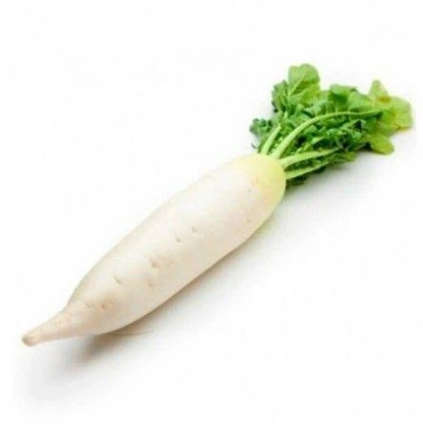 Veg Valley  Reddish/मूली/Mooli  - 1 Pc