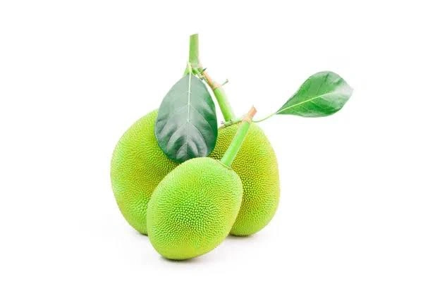 Veg Valley  Jackfruit/कटहल/Katahal  - 1 Kg