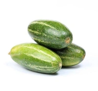 Veg Valley  Pointed Gourd/परवल/Parwal  - 1 Kg