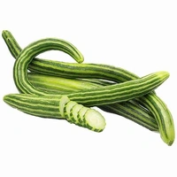 Veg Valley  Chichinda/चिचिंडा  - 500 Gm