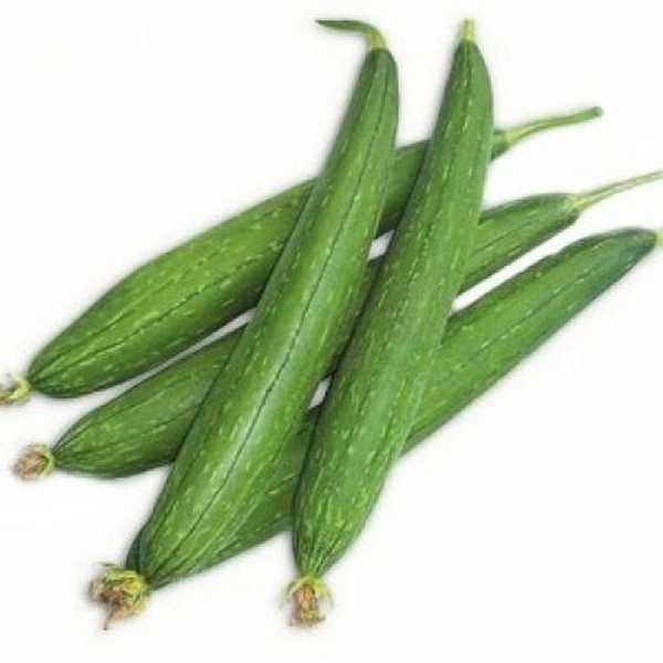 Veg Valley  Smooth Gourd/तोरई/Torai  - 500 Gm