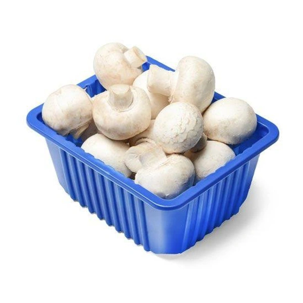 Veg Valley  Mushroom/मशरूम/Mashroom  - 1 Pc