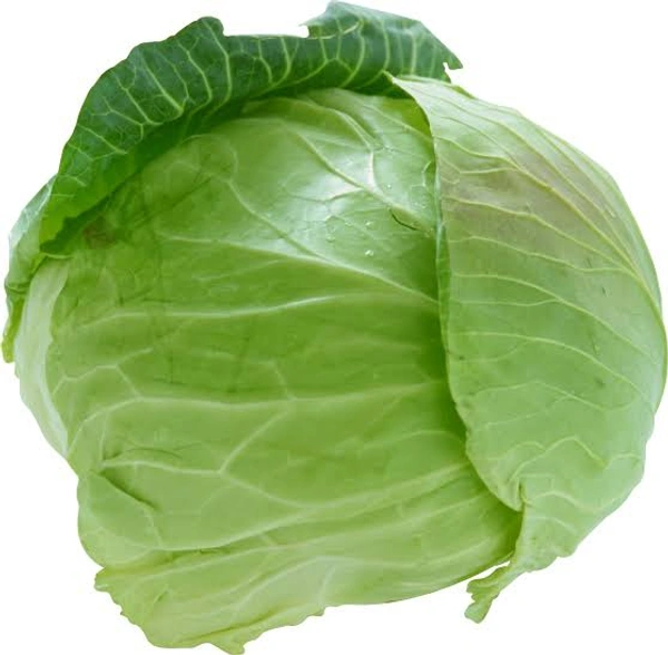 Veg Valley  Cabbage/पत्तागोभी/Pattagobhi  - Green, Approx 1 Kg