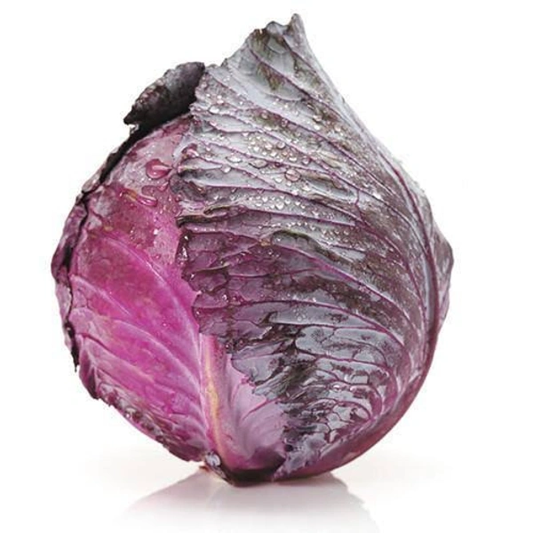 Veg Valley  Cabbage/पत्तागोभी/Pattagobhi  - Purple, Approx 1 Kg